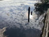 E20B19FC-9FFF-4428-ACFF-D7B903AEAB1F.jpeg
