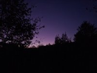 20221102_063455.jpg
