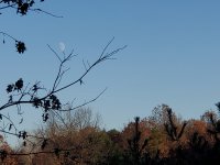 20221102_164358.jpg