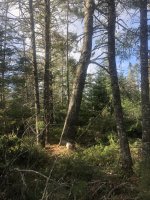 C48343AD-C2D6-46A8-B11A-3BE67BA5DF9B.jpeg