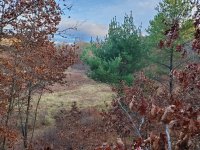 20221106_160535.jpg