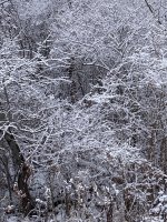 8C01AEA0-9E82-47ED-BA9C-4AF1048EACF8.jpeg