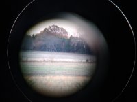 IMG_20221113_165806.jpg