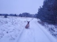 20221118_064031.jpg