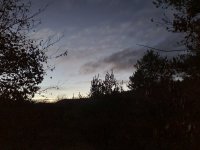 20221113_060711.jpg