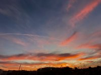 78026181-CCBE-4AC6-8161-D6BB851D22FF.jpeg