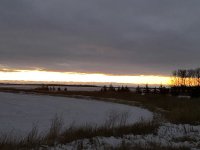 F3BD73B6-3889-4FE7-8F66-0D1783CA1AEC.jpeg