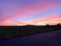 44AB7124-B03C-4158-BBFF-339683F5B8E8.jpeg