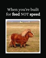 FB_IMG_1669339662836.jpg