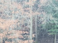 20221125_072333.jpg