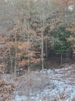 20221125_072342.jpg