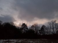20221124_165337.jpg