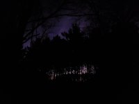 20221126_060836.jpg