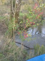 IMG_20221124_092202_MP.jpg