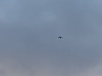00D44426-7E7A-47B3-8119-AB45B19E6DEC.jpeg
