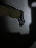 CE88A9FF-B0C3-4799-9C62-0A715616F61C.jpeg