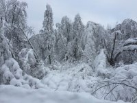 snow.jpg
