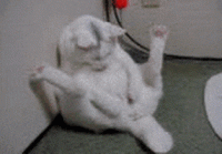 upload_2022-12-10_10-41-50.gif