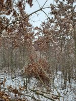 20221211_103456.jpg