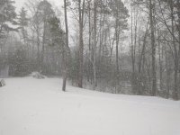 IMG_20221214_144149936.jpg