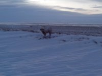 IMG_20221214_161506.jpg