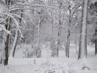 IMG_20221215_095416483.jpg