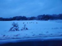 20221215_163715.jpg