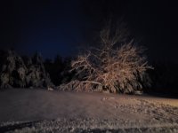 20221215_171133.jpg