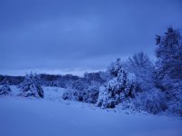 20221215_164810.jpg