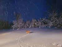 20221215_063555.jpg