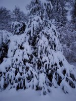 20221216_065224.jpg