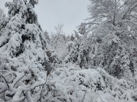 20221217_100727.jpg