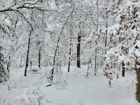 20221217_101825.jpg
