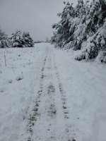 20221217_103133.jpg