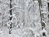 20221217_101823.jpg
