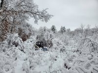 20221217_101755.jpg