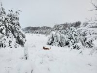 20221217_080731.jpg