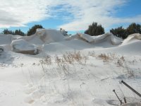 DSCN5837.JPG