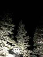 21734D44-0919-4C1A-A67D-819B859AF0D6.jpeg