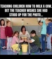cow milking.jpg