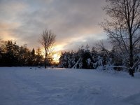 20221224_075347.jpg