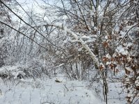 20221224_093930.jpg