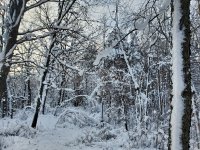 20221224_093905.jpg