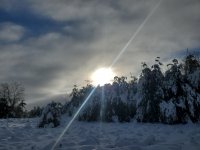 20221224_093320.jpg