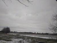 IMG_20221226_112423.jpg