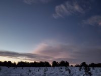 20221229_065303.jpg