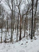 20230102_104715.jpg