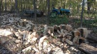 rps20161003_164748_865.jpg