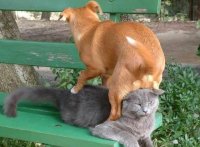 Hump-Day3.jpg