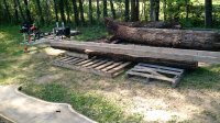 IMG_20161006_131904339.jpg